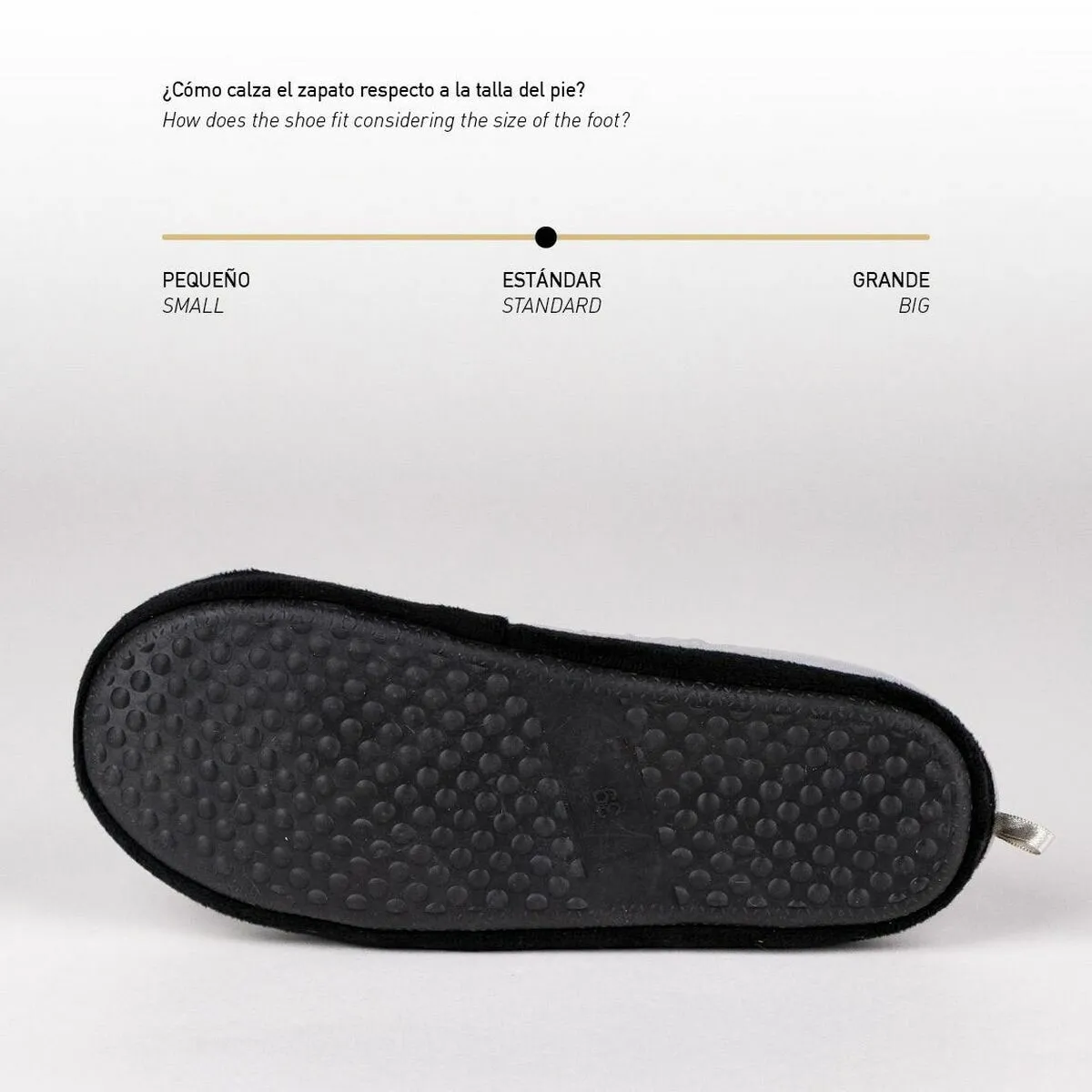 House Slippers NASA Light grey